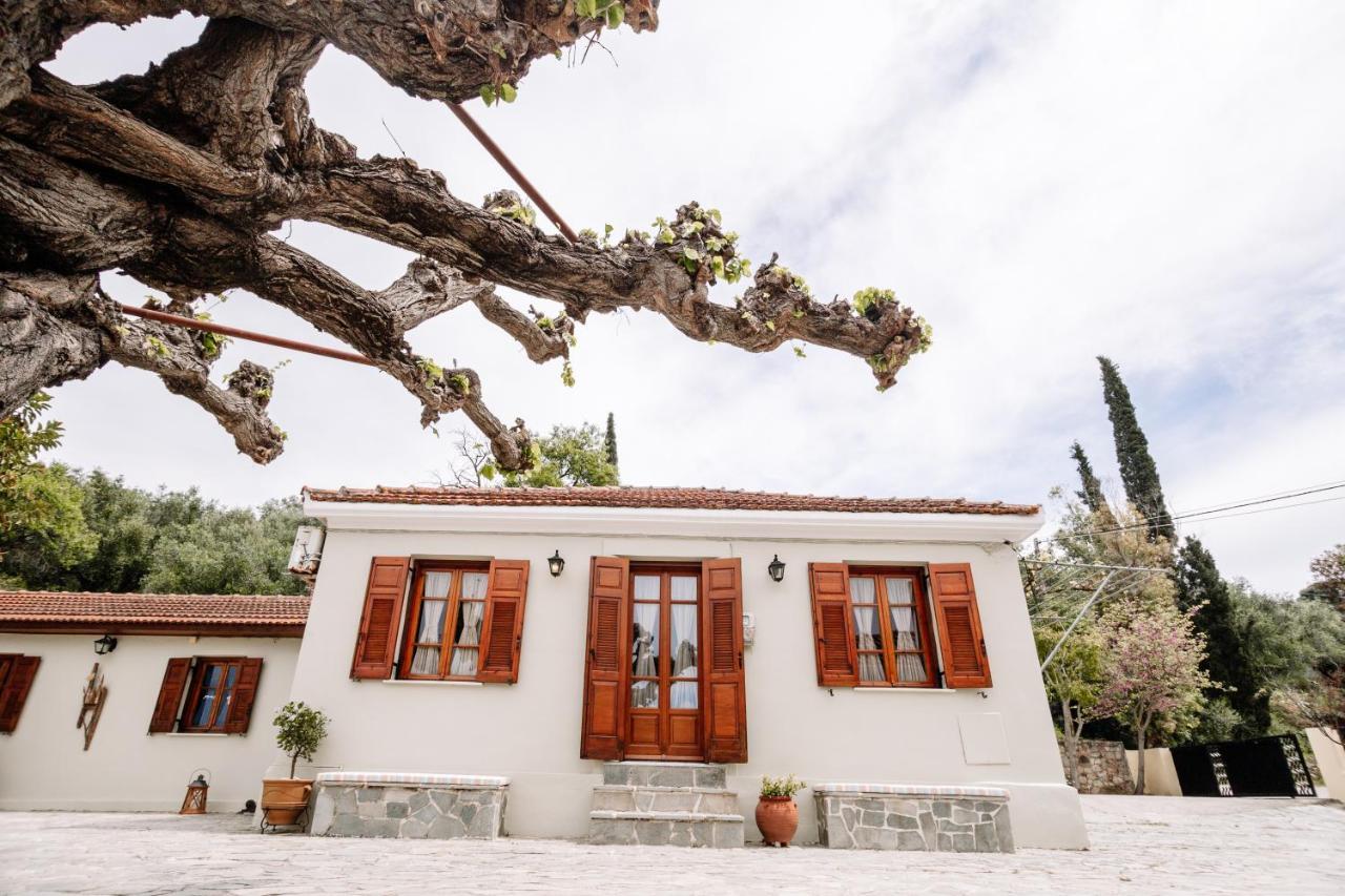 Kymanemi Zakynthos Cottage House Ano Yerakarion Экстерьер фото